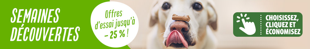 Semaines découvertes pour chien