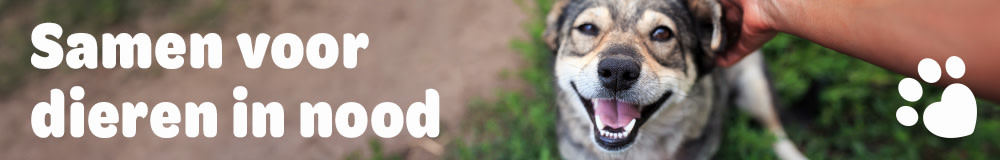 Goede doelen banner