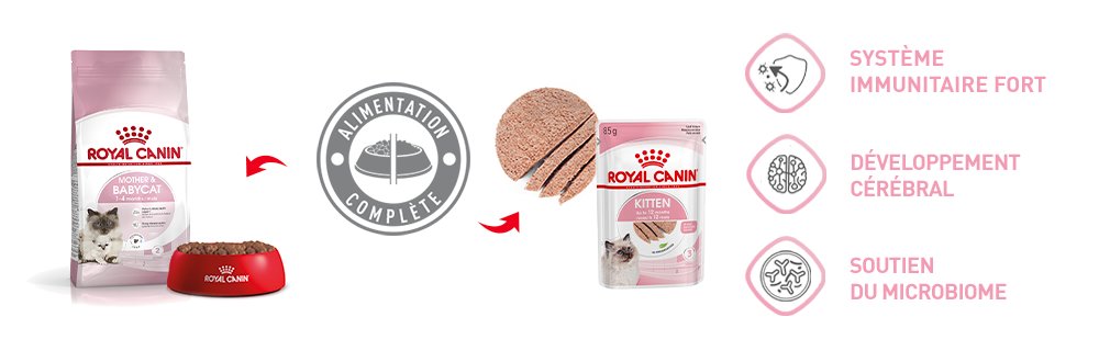 Royal Canin Kitten