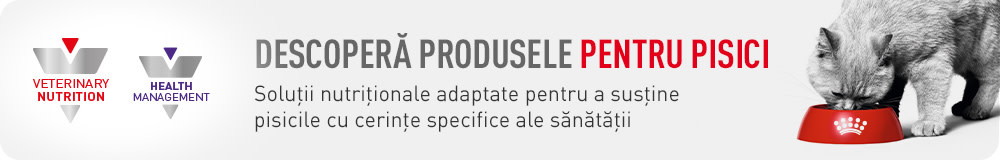Royal Canin Veterinary pentru pisici