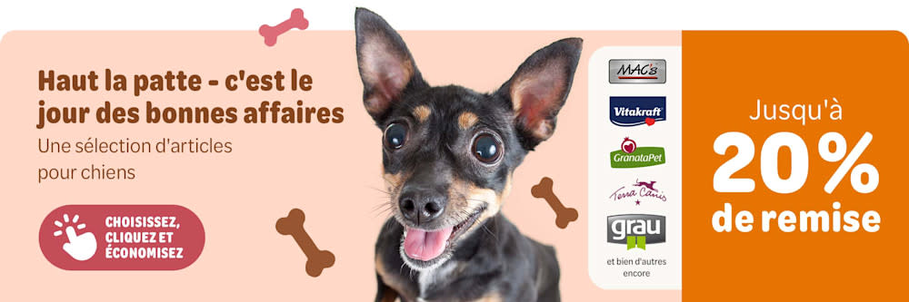 Haut la patte - c'est le jour des bonnes affaires. Jusqu'à 20 % de remise sur une séletion d'articles pour chiens MAC's, Vitakraft, GranataPet, Terra Canis, grau et bien d'autres encore. Choisissez, cliquez et économisez