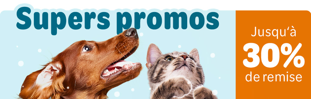 Promos d'hiver sur les accessoires pour chien et chat