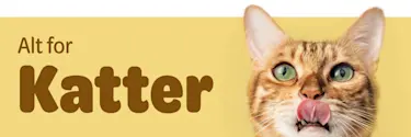 Alt for katter