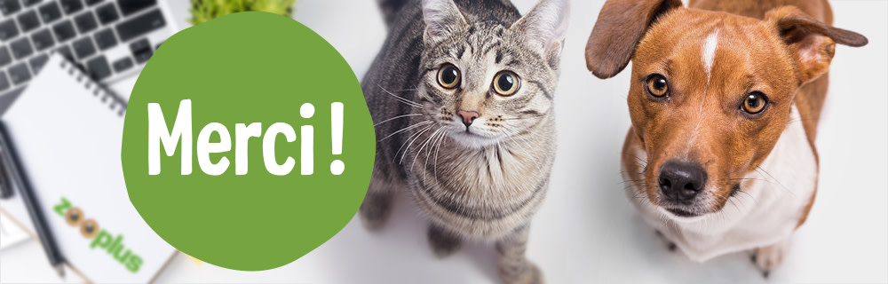 Merci pour votre confiance !