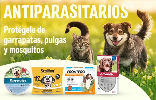 Antiparasitarios