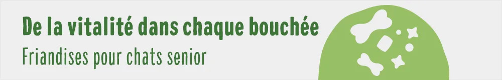 friandises pour les chats âgés