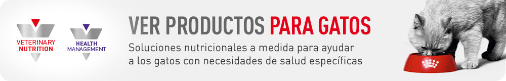 Royal Canin Veterinary para gatos