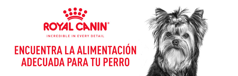 Royal Canin perros