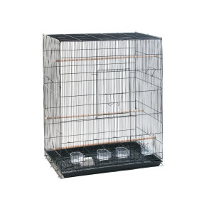 Cages pour perruche
