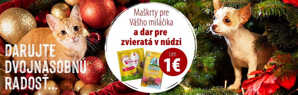 Vianočná zbierka