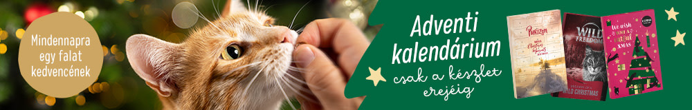 Adventi kalendáriumok macskáknak