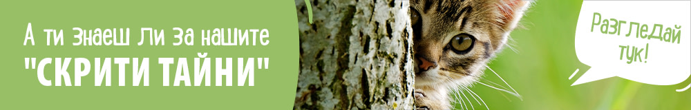 А ти знаеш ли за нашите "скрити тайни"? 🤫