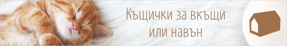 Къщи за котки