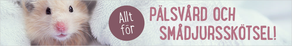 Smådjur pälsvård