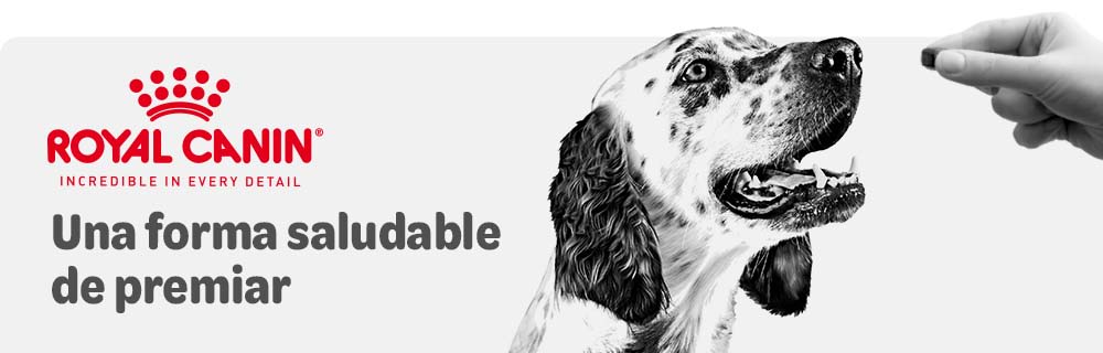 Royal Canin Vet snacks