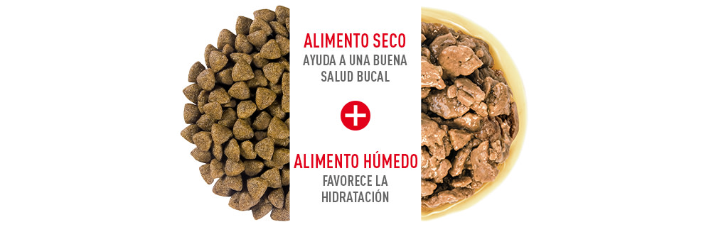 Royal Canin alimentaciín mixta para perros