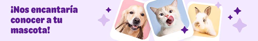 Perfil de mis mascotas