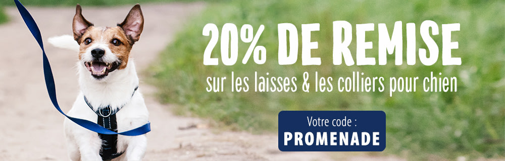 Profitez d'une réduction de 20% sur les laisses, colliers et harnais et faites plaisir à votre compagnon à poils.