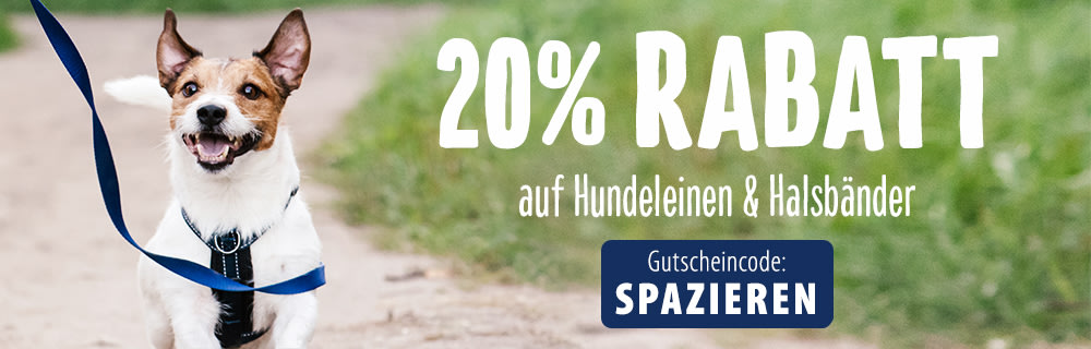 Jetzt 15% auf Leinen & Halsbänder für Hunde sichern