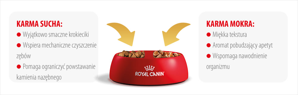 Royal Canin Veterinary karmienie mieszane