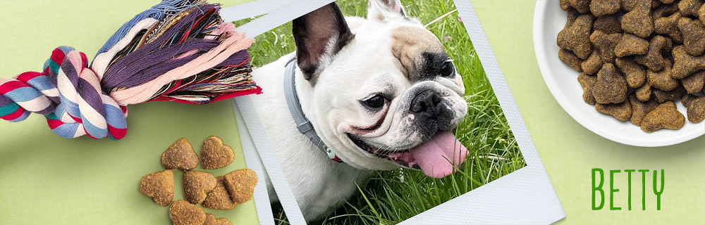 Betty - velká cestovatelka