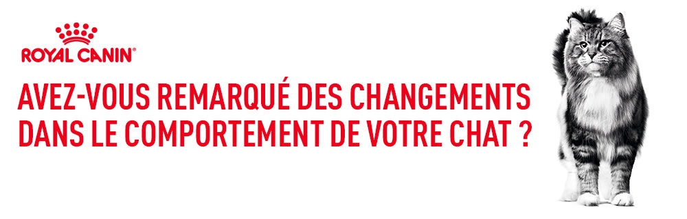 Royal Canin Feline Care Nutrition
