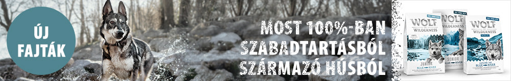 Wolf of Wilderness - Szabadon tartott