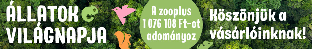 Állatok Világnapja 2023 NOÉ