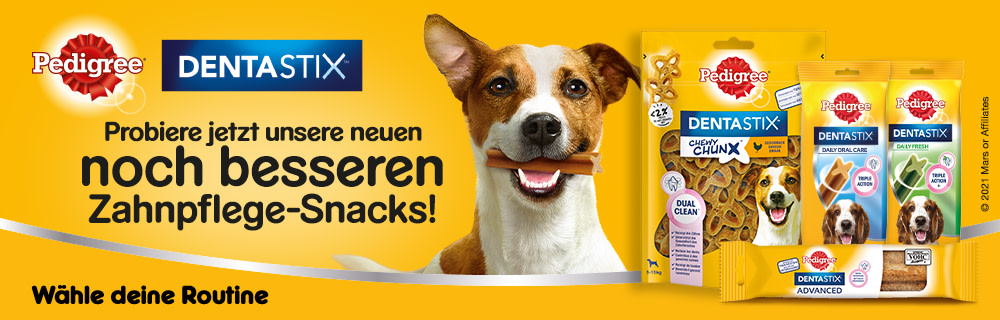 Banner Pedigree Dentastix Web