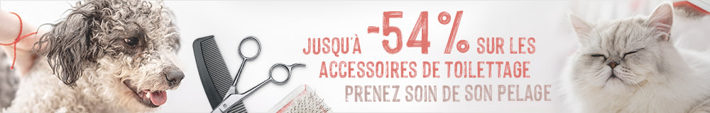 Accessoires de toilettage pour chien et chat