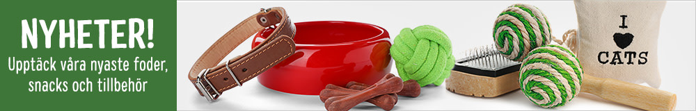 Upptäck våra nya produkter