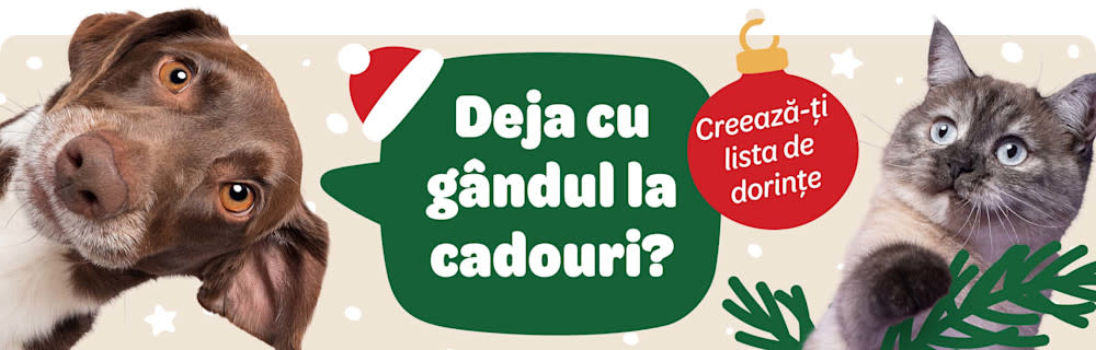 Deja cu gândul la cadouri? Creează-ți lista de dorințe!