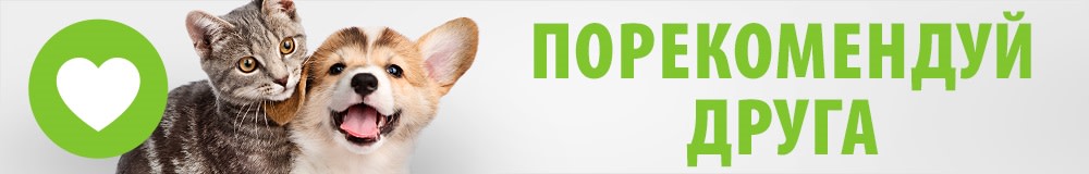 Порекомендуй друга