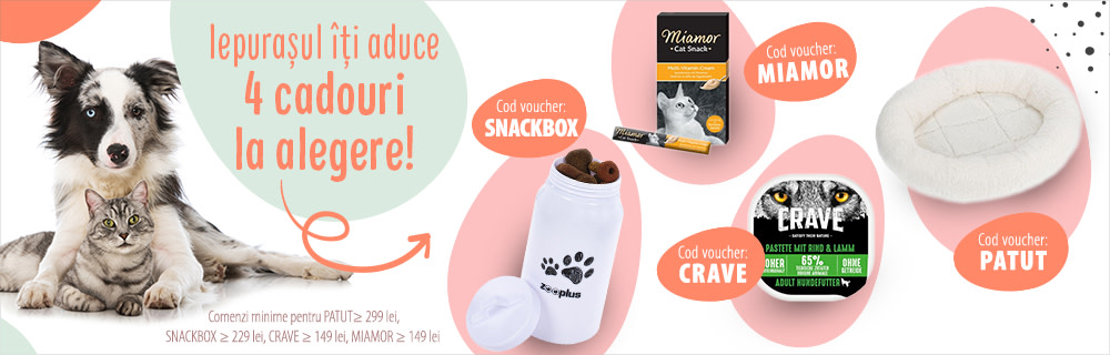 Să înceapă Sărbătoarea Paștelui cu fast! Alege din 4 CADOURI și fă-i o bucurie. Stocurile sunt limitate!