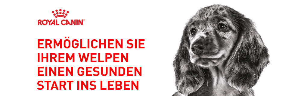 Royal Canin Puppy Box