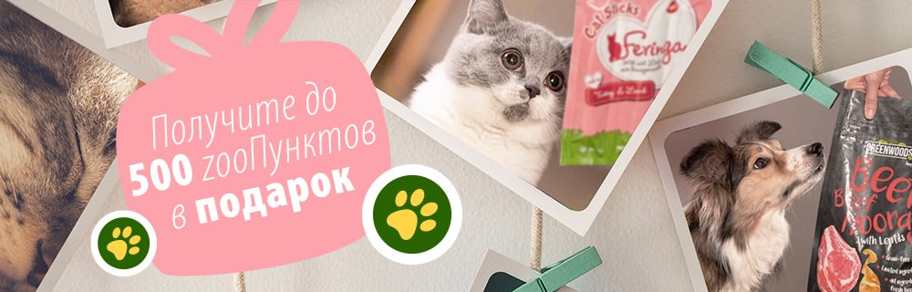 Получите 500 zooПунктов!
