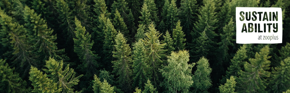 Woods