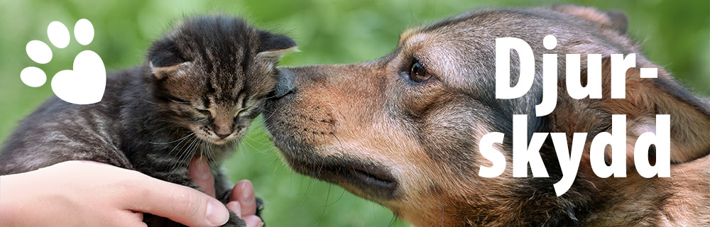 Djur-skydd