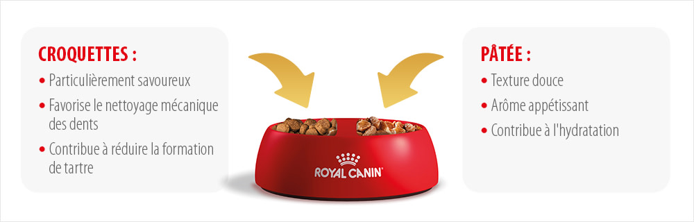 croquettes et sachets pour chat royal canin