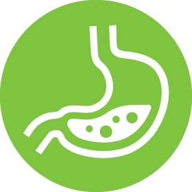 Stomach & Digestion