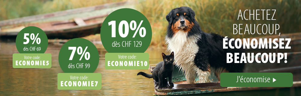 Profitez de 10% de remise !