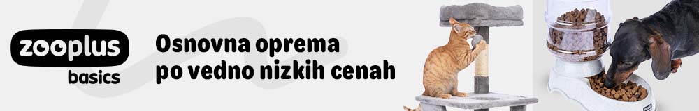 Osnovna oprema po vedno nizkih cenah