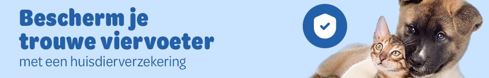 Huisdierverzekering