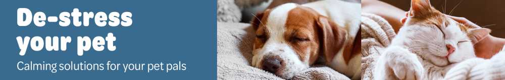 De-stress your pet: calming solutions for your pet pals