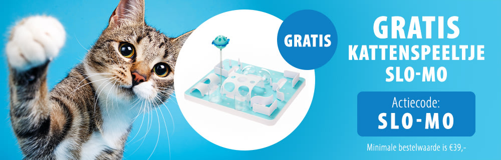 Gratis Slo-Mo intelligentiespeelgoed