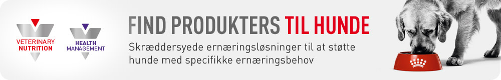 Royal Canin Veterinary Dog