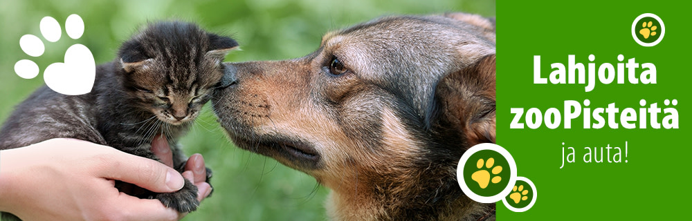 Lahjoita zooPisteesi hyväntekeväisyyteen.