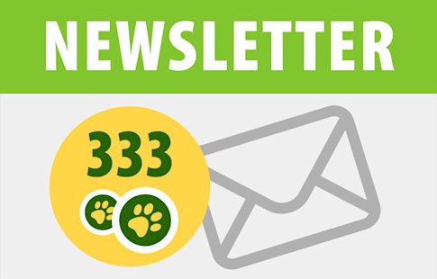 La newsletter