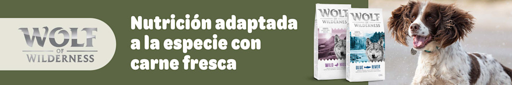 Wolf of Wilderness pienso para perros