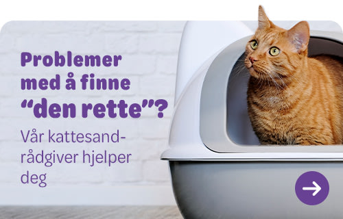 Cat Litter Advisor Top Banner